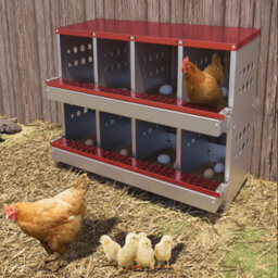 Chicken Coop with Nesting Box For Up To 10 Chickens