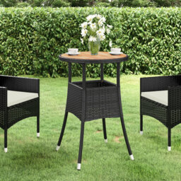 Garden Rattan/Steel/Wooden Dining Table