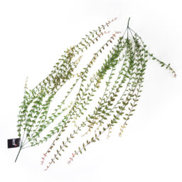 120cm Faux Plant