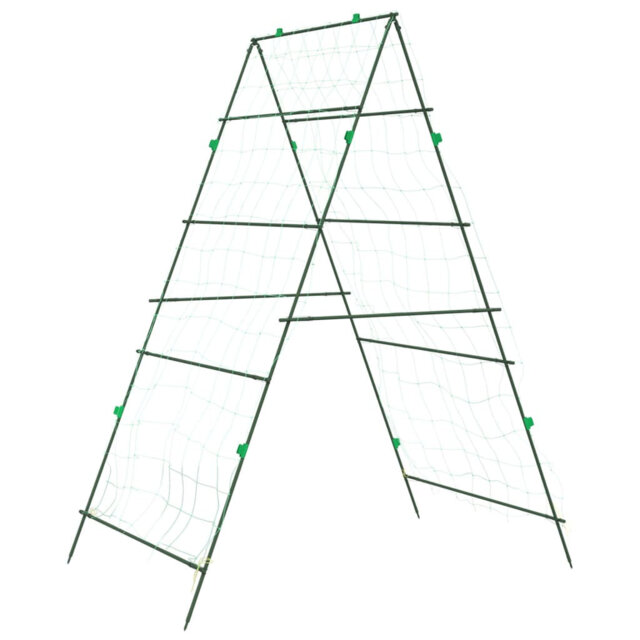 Plant Stand - Set of 2