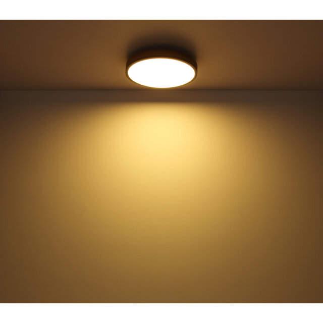 Tejal Plastic LED Flush Mount