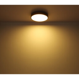 Tejal Plastic LED Flush Mount