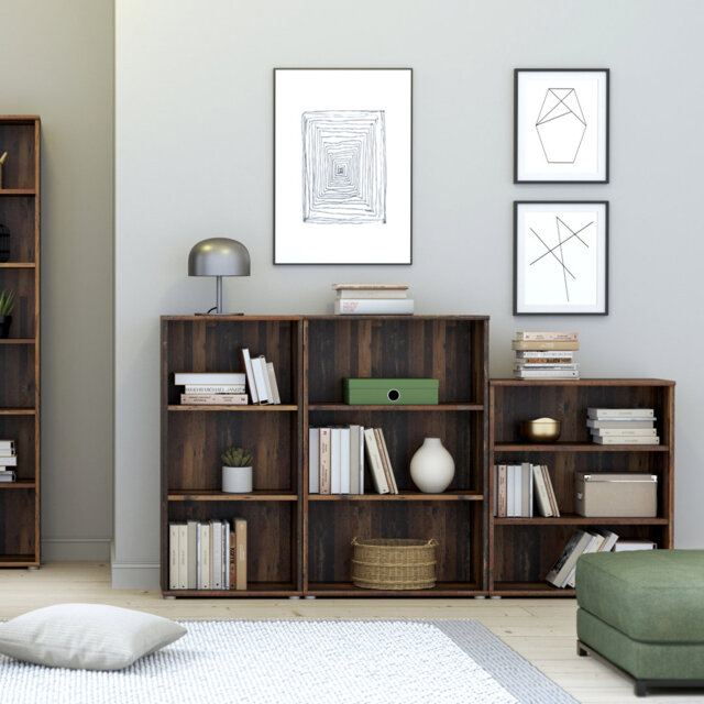 Belniak Standard Bookcase