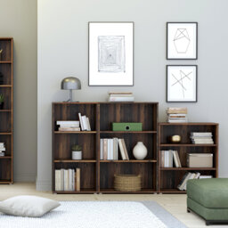 Belniak Standard Bookcase