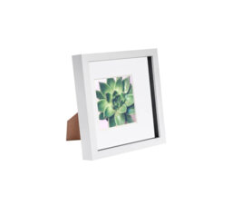 Nicola Spring - 3D Box Photo Frame with Mount