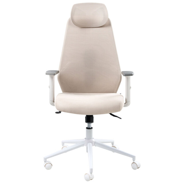 Office Chair with Headrest