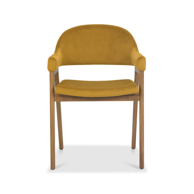 Anayalee 49cm H Upholstered Upholstered Back Armchair
