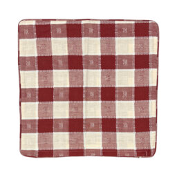 Dondale Gingham Square Cushion
