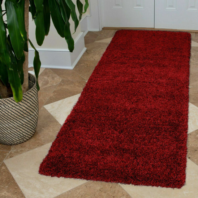 Aanuoluwa Red Indoor/Outdoor Rug