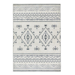 Zumbrota Moroccan Area Rug