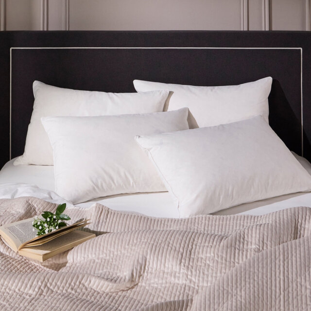 Luxurious Hotel Snuggledown Signature Goose Feather & Down Medium Support Back Sleeper Cotton Cover Pillow