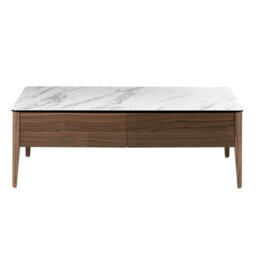 Coffee Table with Storage