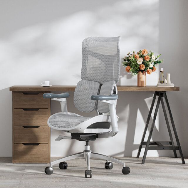 Ergonomic Office Chair, with Dual Dynamic Lumbar Support, 4D Armrests