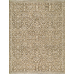Moroccan Area Rug