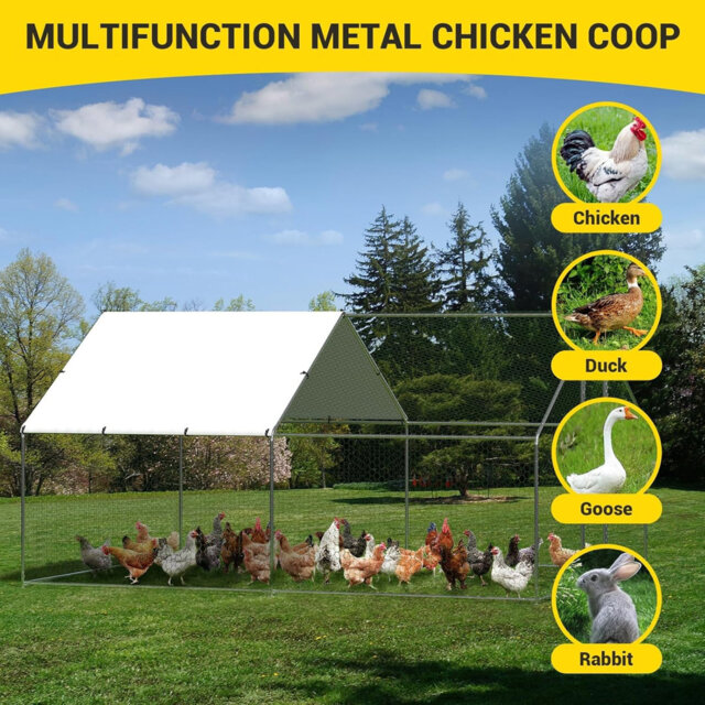 Chicken Run