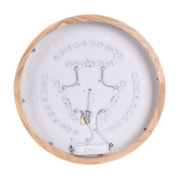 Daedalus 1-Light 50cm Contemporary Dimmable Round LED Flush Mount Lamp