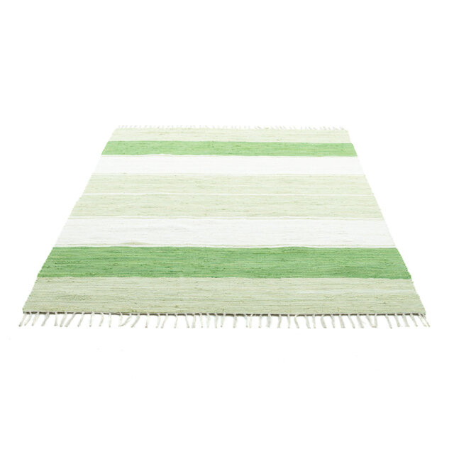 Leonhardt Handwoven Cotton Green/ Beige Rug