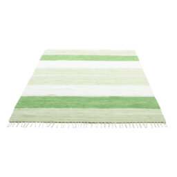 Leonhardt Handwoven Cotton Green/ Beige Rug