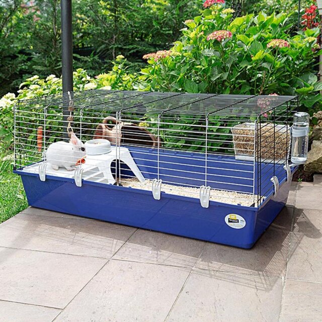 Rabbit Cage