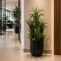 XL Commercial Artificial Plant Displays 107cm Faux Orchid Plant in Pot Liner