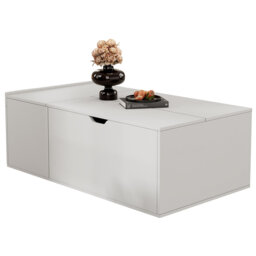 Lift Top Coffee Table with Storage