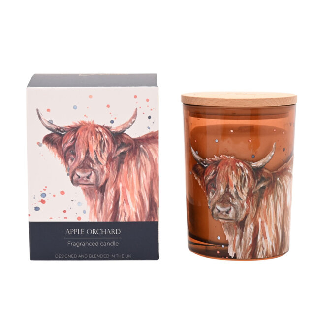 Candle