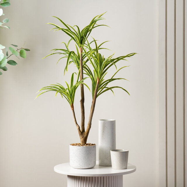 90cm Faux Real Touch Yucca in White Speckled Plastic Pot
