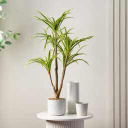 90cm Faux Real Touch Yucca in White Speckled Plastic Pot