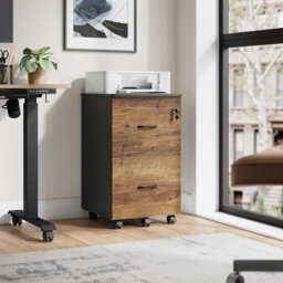 Honey Brown and Ink Black 2-Drawer Locking File Cabinet, Rolling Printer Stand