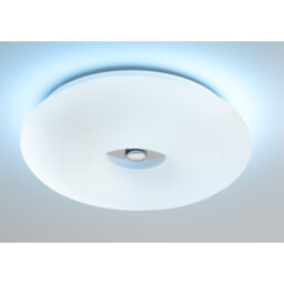 Oberle Glass Flush Mount
