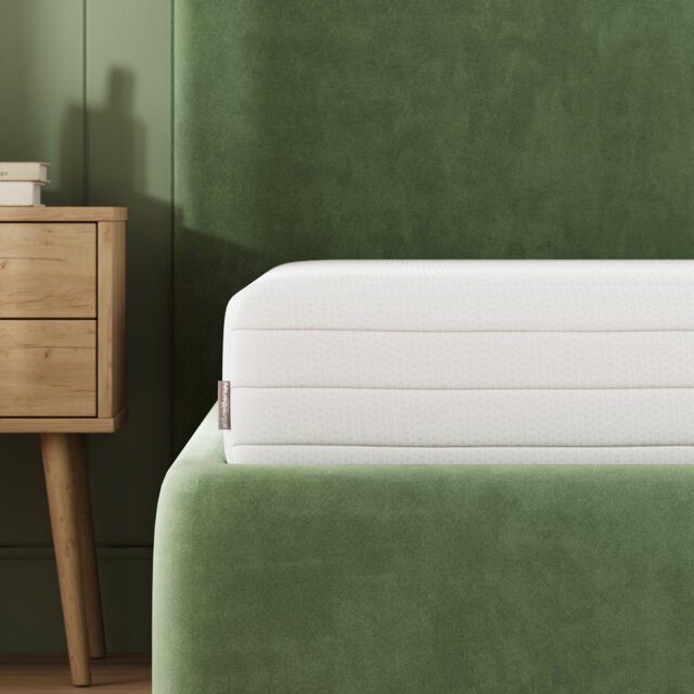Ortho Sleep 20cm Extra Firm Support Foam Mattress