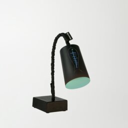 Adjustable Metal Desk Lamp