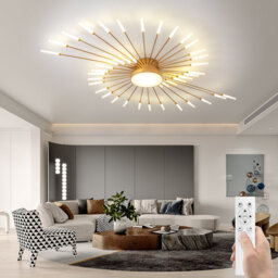 Modern led ceiling light with remote, flush mount ceiling lamp acrylic lampshade