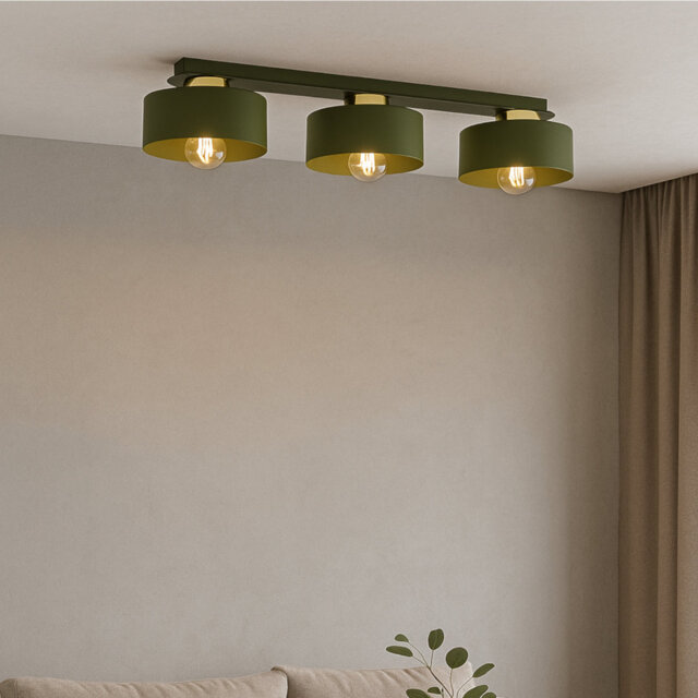 Flush Mount