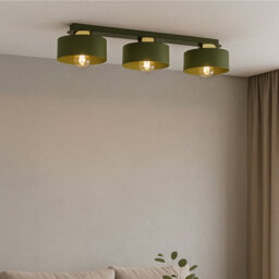 Flush Mount