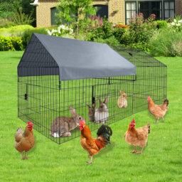 Chicken Coop