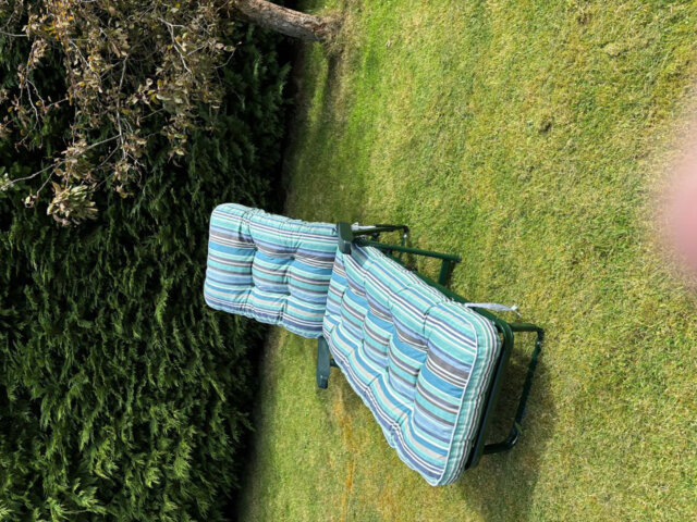 Cersten Steel Outdoor Reclining Garden Chair
