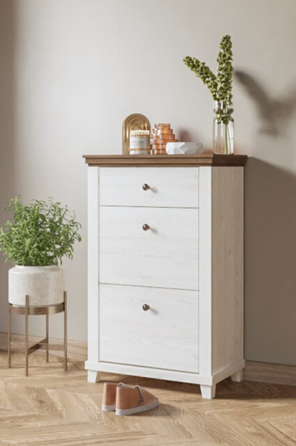 Cannady 28 Pair Shoe Storage Cabinet