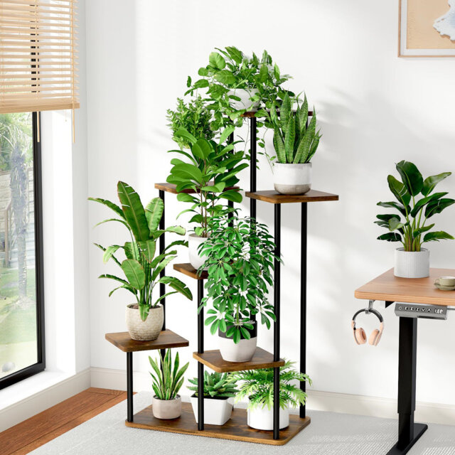 Plant Stand - Set of 7