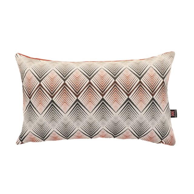 Ames Chevron Rectangular Cushion