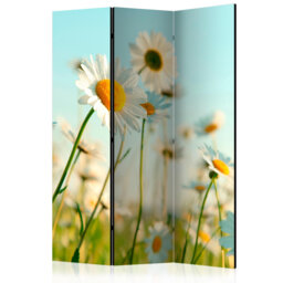 135cm W x 172cm H 3 - Panel One Sided Room Divider Folding Room Divider