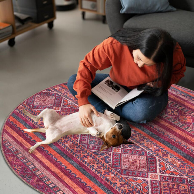 Throw Area Rugs Soft Indoor Carpet Pads For Living Room Non-Slip Mat Fade Resistant Floor Rug 1322R