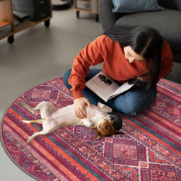 Throw Area Rugs Soft Indoor Carpet Pads For Living Room Non-Slip Mat Fade Resistant Floor Rug 1322R