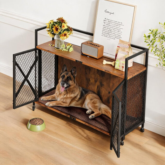 Dog House
