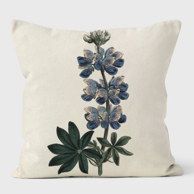 Nootka Lupin - Botanical Cushion