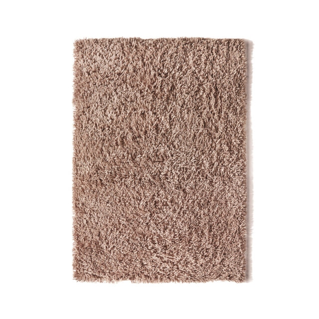 Yisroel Hand Woven Area Rug