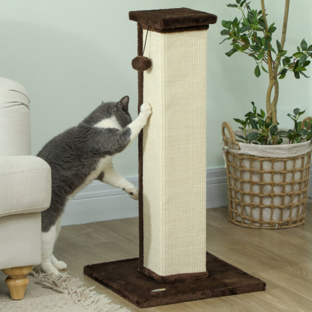 Cat Scratching Post