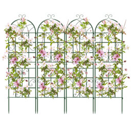 180cm W Metal Arched Trellis
