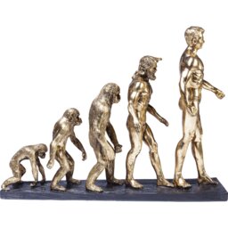Figure evolution
