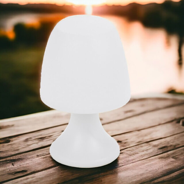 19cm LED Warm White Mini Table Lamp Battery Power Light Home Office Study Decor
